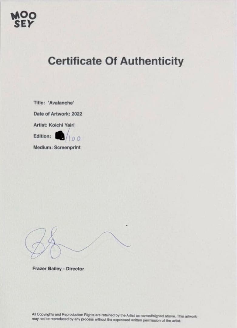 Avalanche シルクスクリーン　矢入幸一