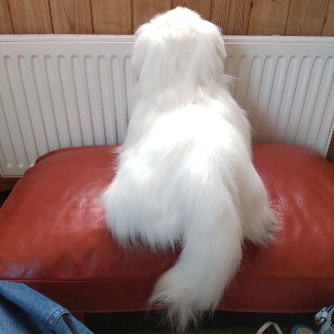 kei 様　　三英　グレートピレニーズ　レトロ　日本製アクリル７０センチ　特大