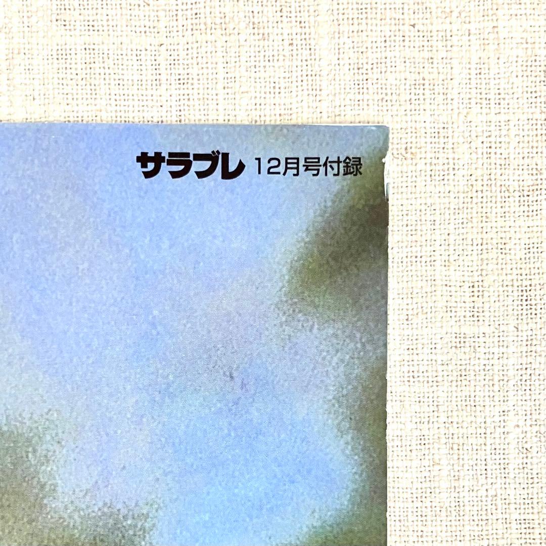シャドーロールの怪物　ナリタブライアン　1998年12月号　両面ポスター