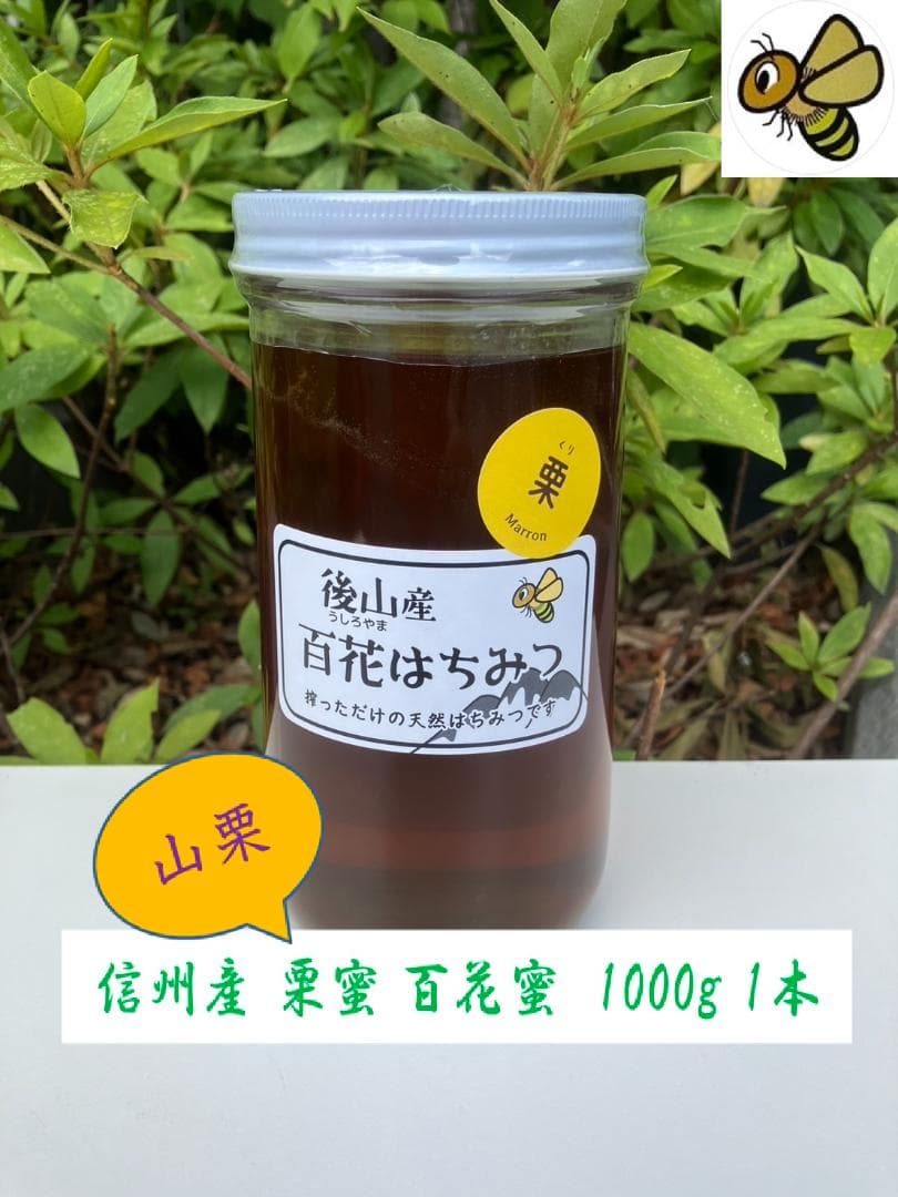 【ほっちゃん】山栗 百花蜜 1000g 各１本 国産蜂蜜 はちみつ