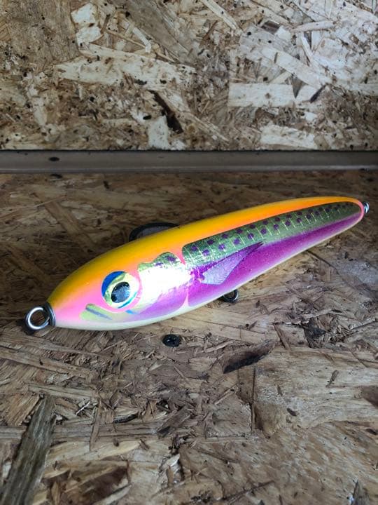 カーペンター　ガンマ120 ニラミハナダイ