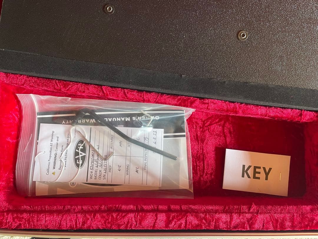 タケカリ:EVH WOLFGANG USA silver