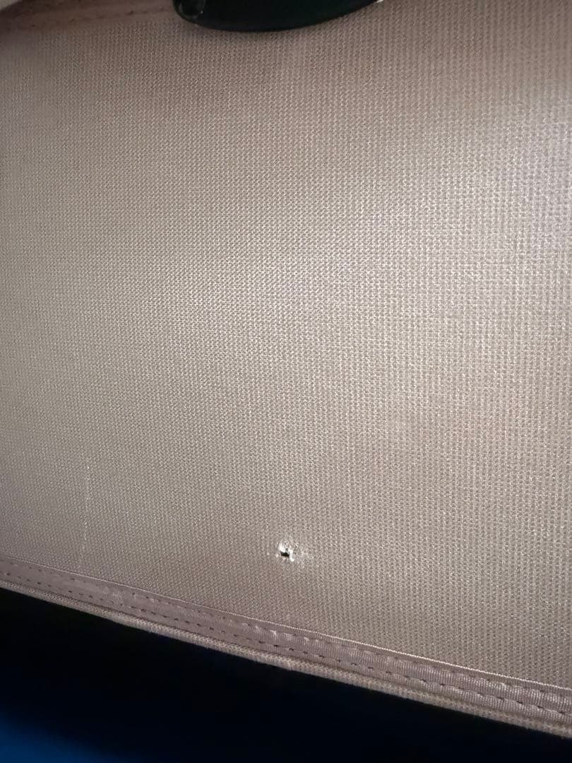 エアバギー　Dome2 コット　ブロッサム　ラージ