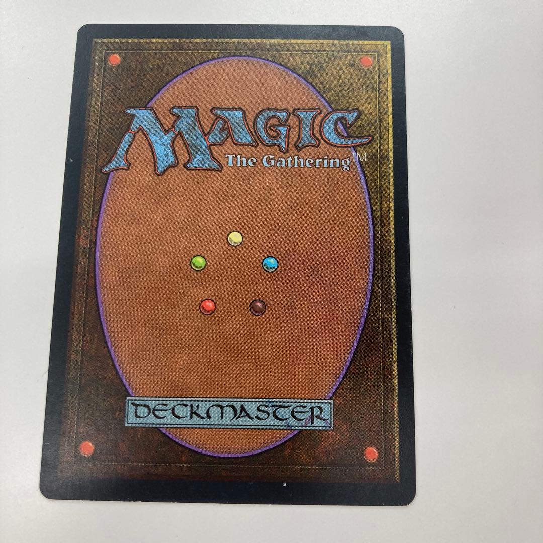 Mtg 資源の浪費 中国語 繁体字 2枚セット バラ売り可能