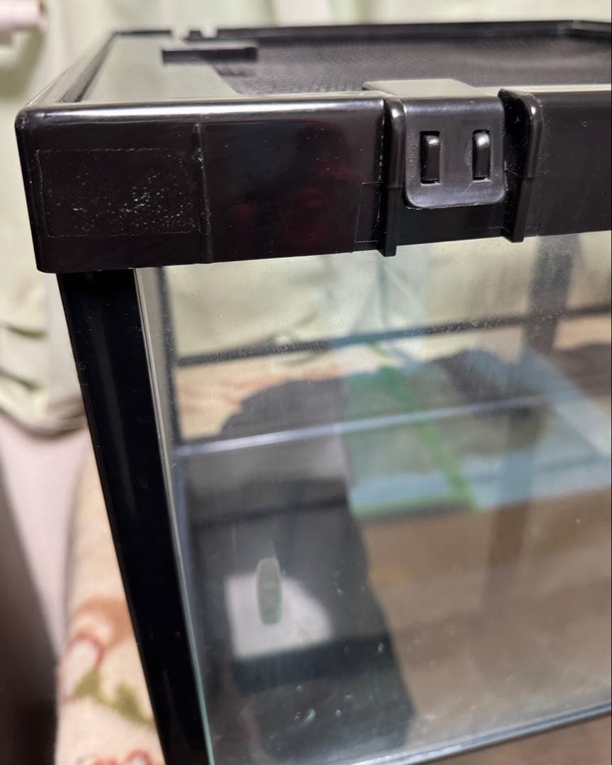 みん みどり商会 爬虫ケージ 90 引き取り限定