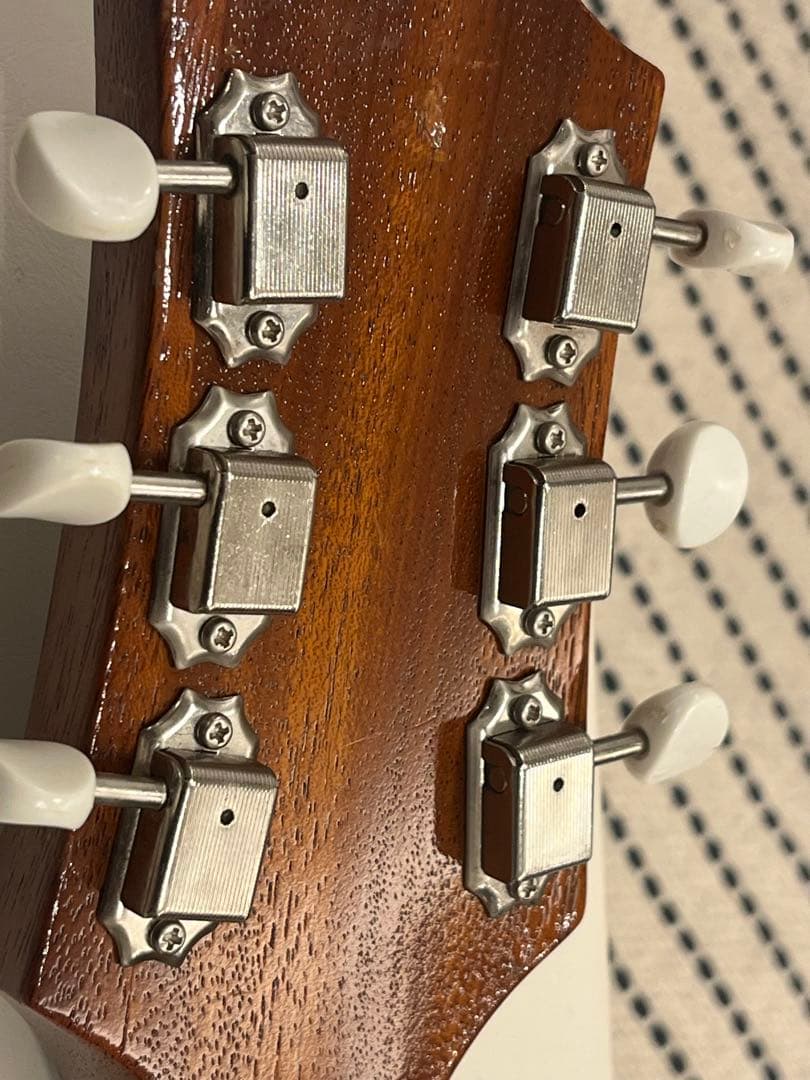 【f-arai】KING SNAKE Swamp