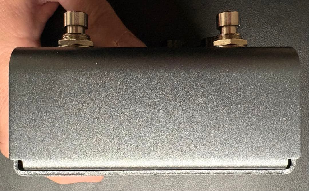 STRYMON El Capistan V2 2025年7月新品購入