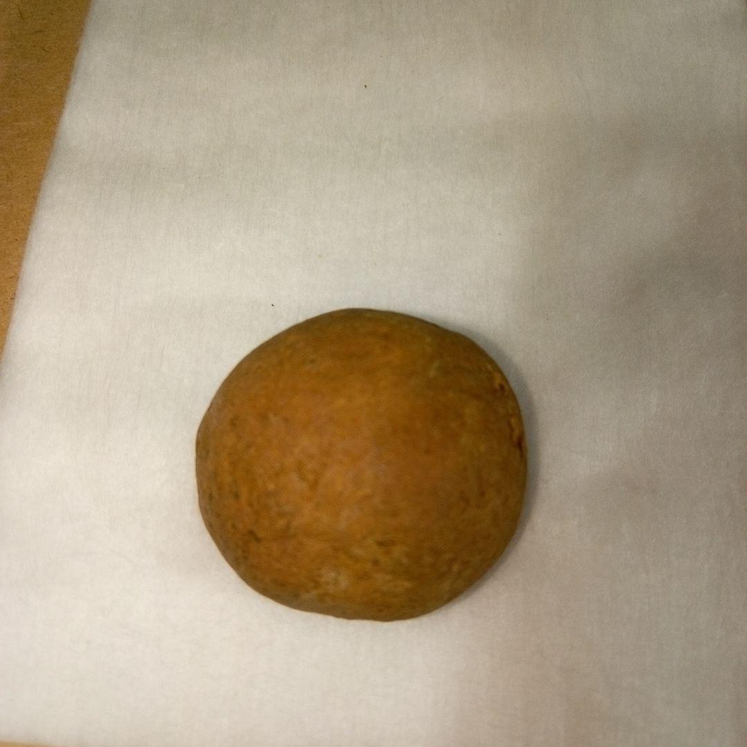 三葉虫　化石　三葉虫化石　究極のレトロ　fossil　ボリビア産　化石管理番号⑥