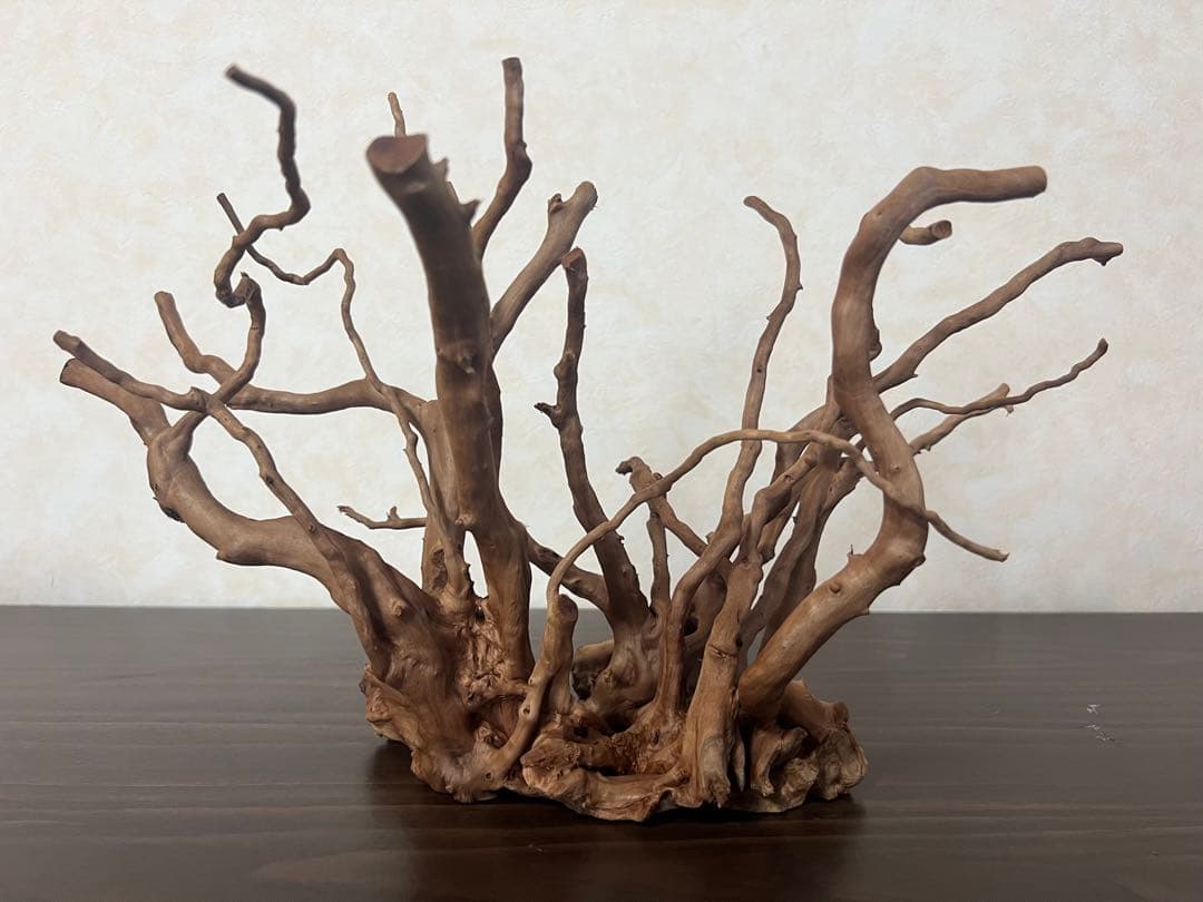 32625 ブランチウッド　流木　アクアリウム 沈水確認済