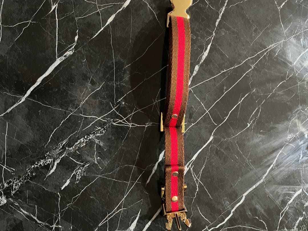 犬首輪リードセット　COLINATE 新品　アプリコット色　正規品