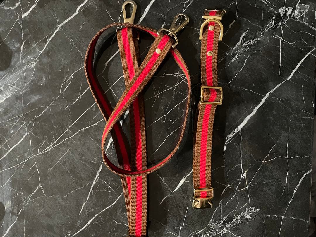 犬首輪リードセット　COLINATE 新品　アプリコット色　正規品