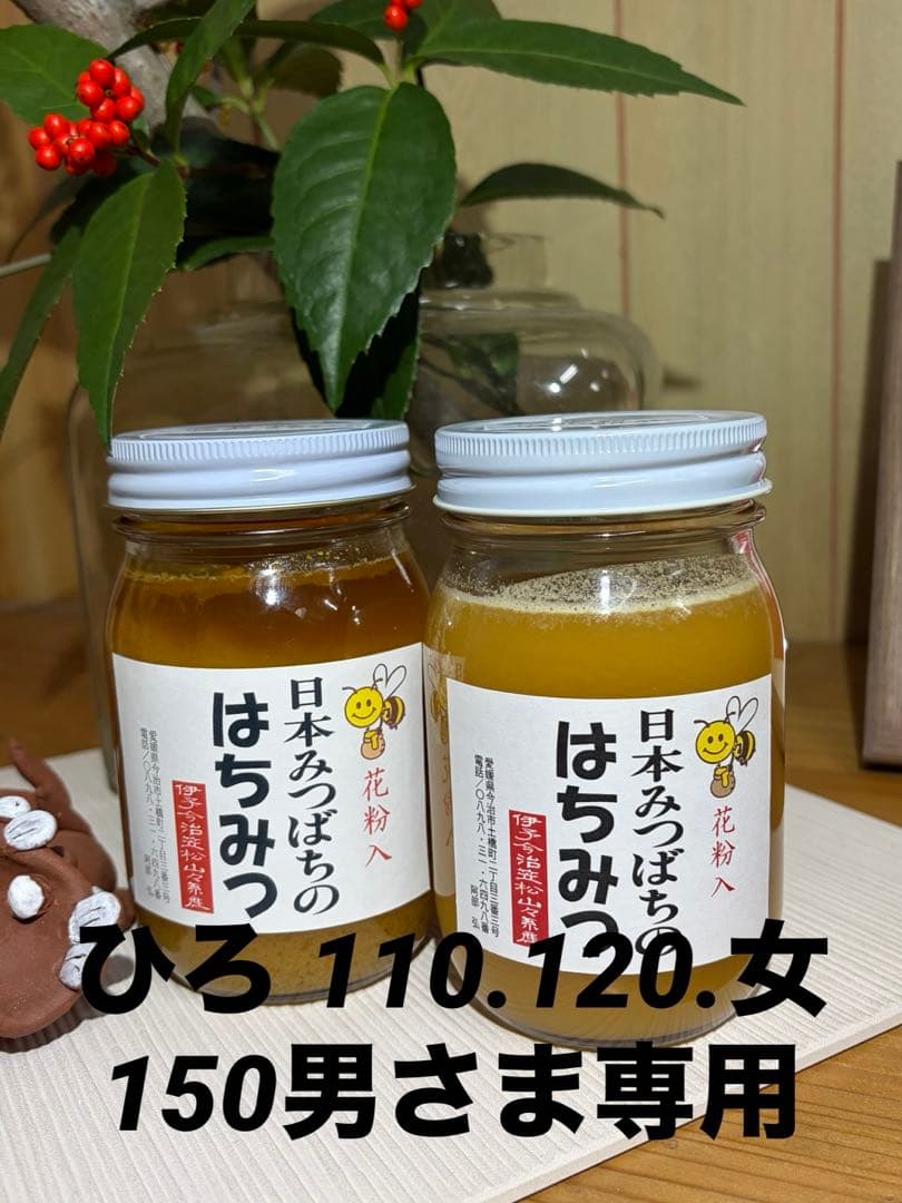 ハチミツ　日本蜜蜂の蜂蜜　奥山の奥のはちみつ花粉入り２種