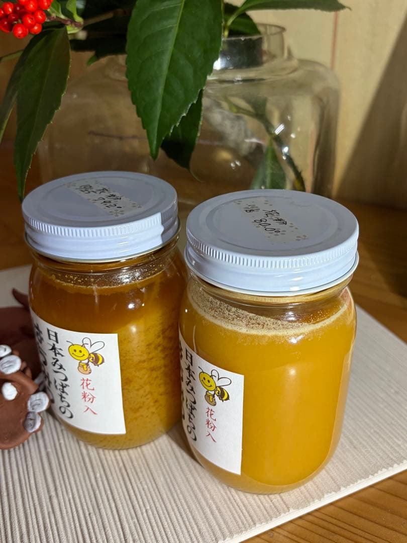 ハチミツ　日本蜜蜂の蜂蜜　奥山の奥のはちみつ花粉入り２種