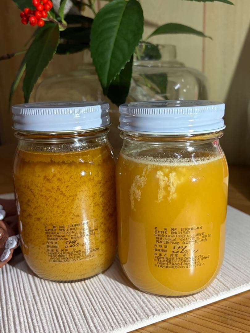 ハチミツ　日本蜜蜂の蜂蜜　奥山の奥のはちみつ花粉入り２種