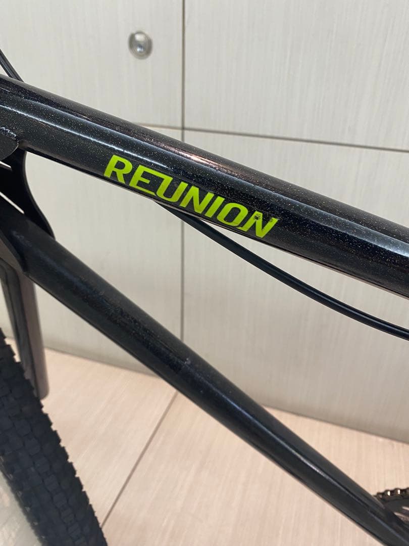 大阪市内 reunion instinct 24 街乗りBMX 24インチ