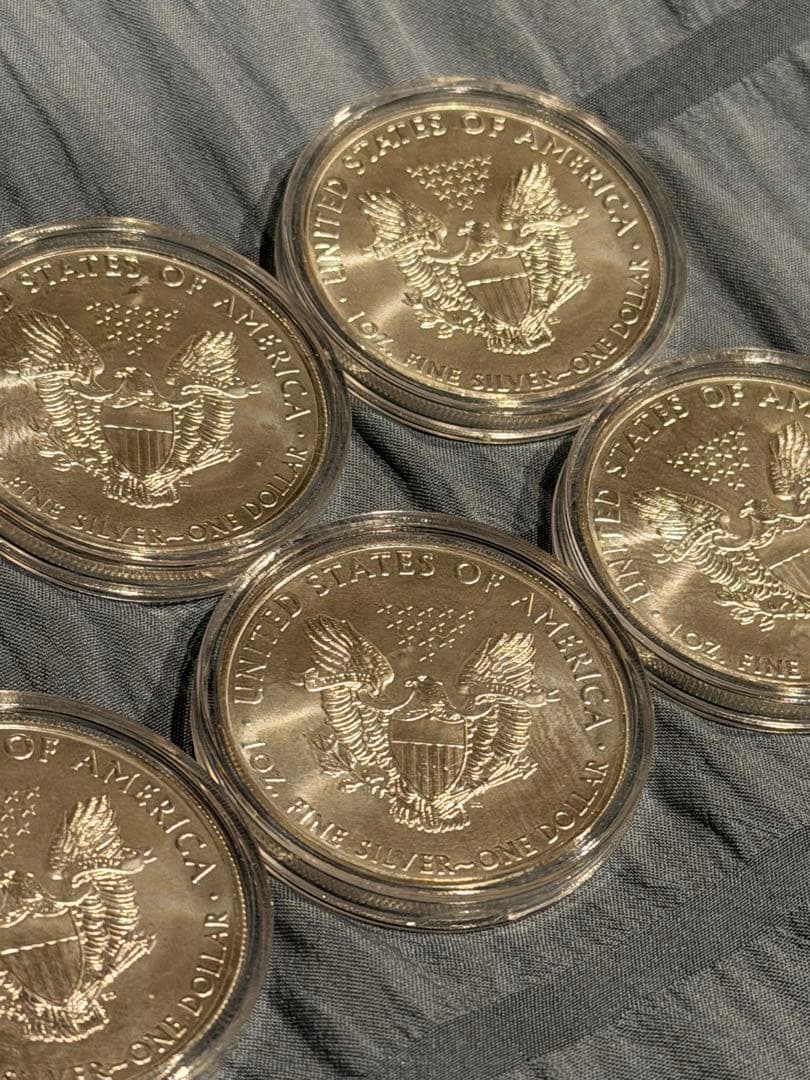 イーグル銀貨 純銀 1オンス クリアケース入り 10個セット 保証書付き