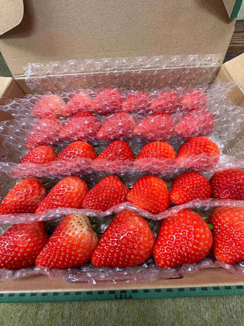 栃木県産とちあいか　初物苺×3 苺の実はるいちご園　【20個限定】 チップ