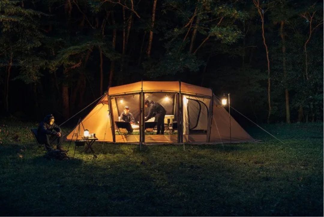 新品未使用 サバティカル アルニカ 仕様変更前