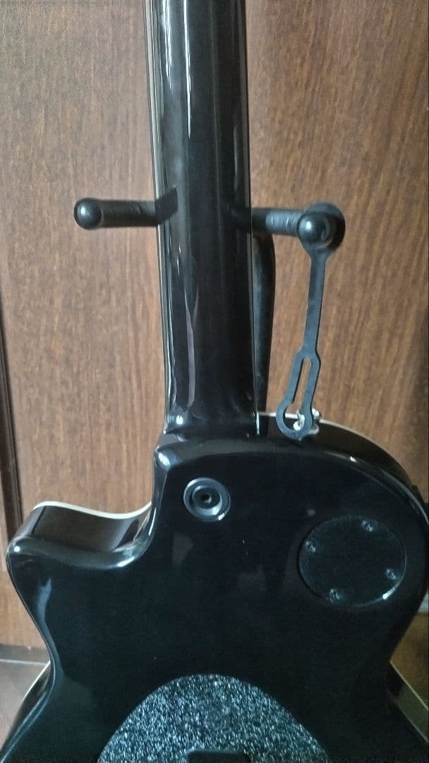 【MIYAVI世界デビュー時のT5改良品】Taylor T5z　ハードケース付