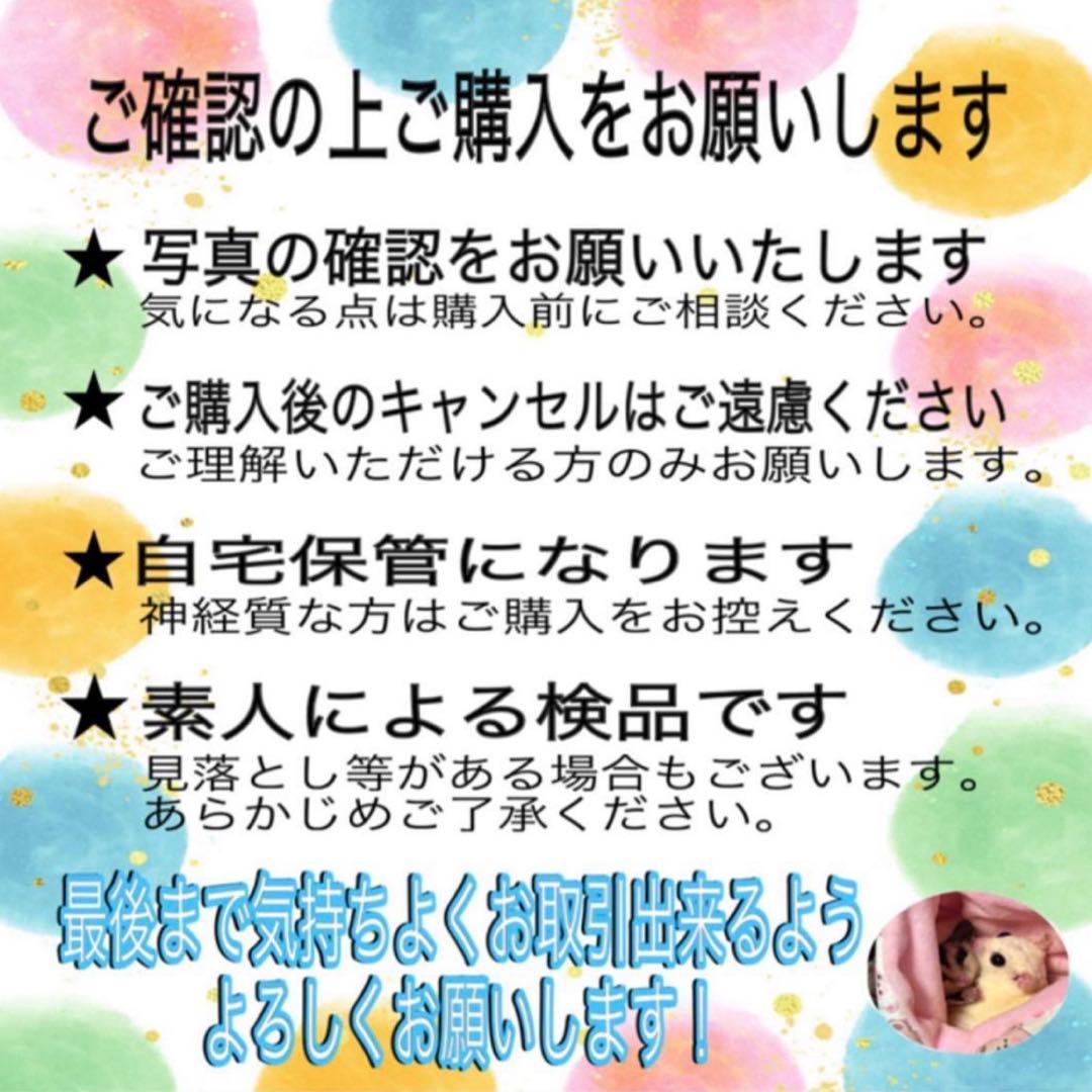 孫悟飯 SH　フュージョンワールド 最強ジャンプ　4枚セット　孫悟飯:SH