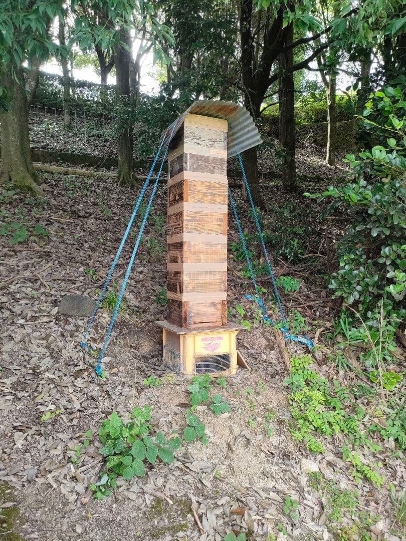 実容量600g×2瓶　　日本ミツバチの蜂蜜