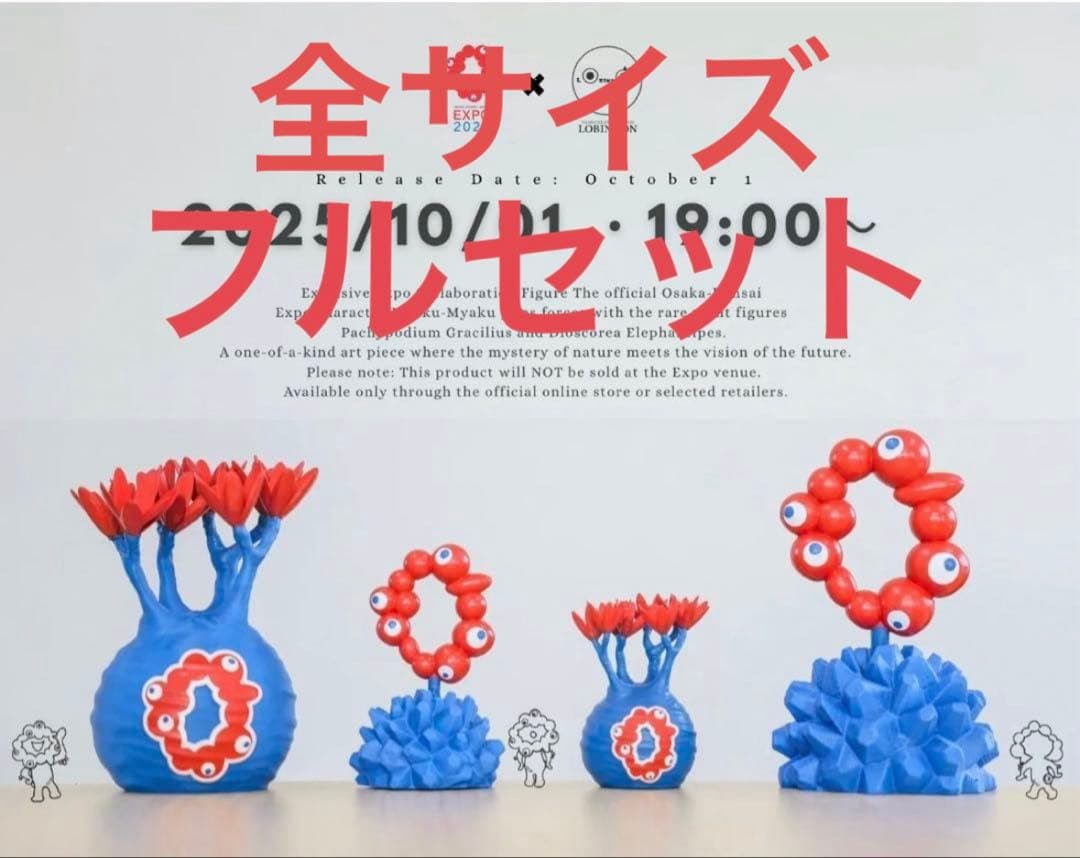 フルセット LOBINDON ×ミャクミャク グラキリス 亀甲竜 expo 塊根