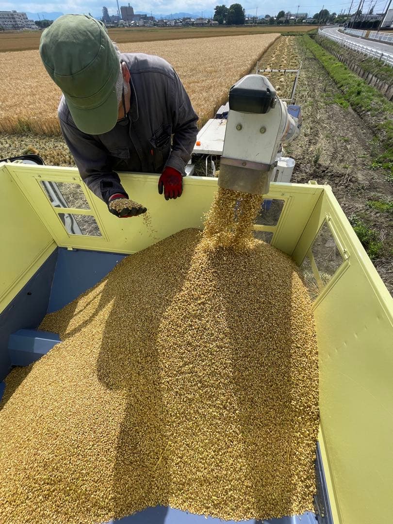 10kg 新麦　令和7年産　キラリモチ　もち麦　国産