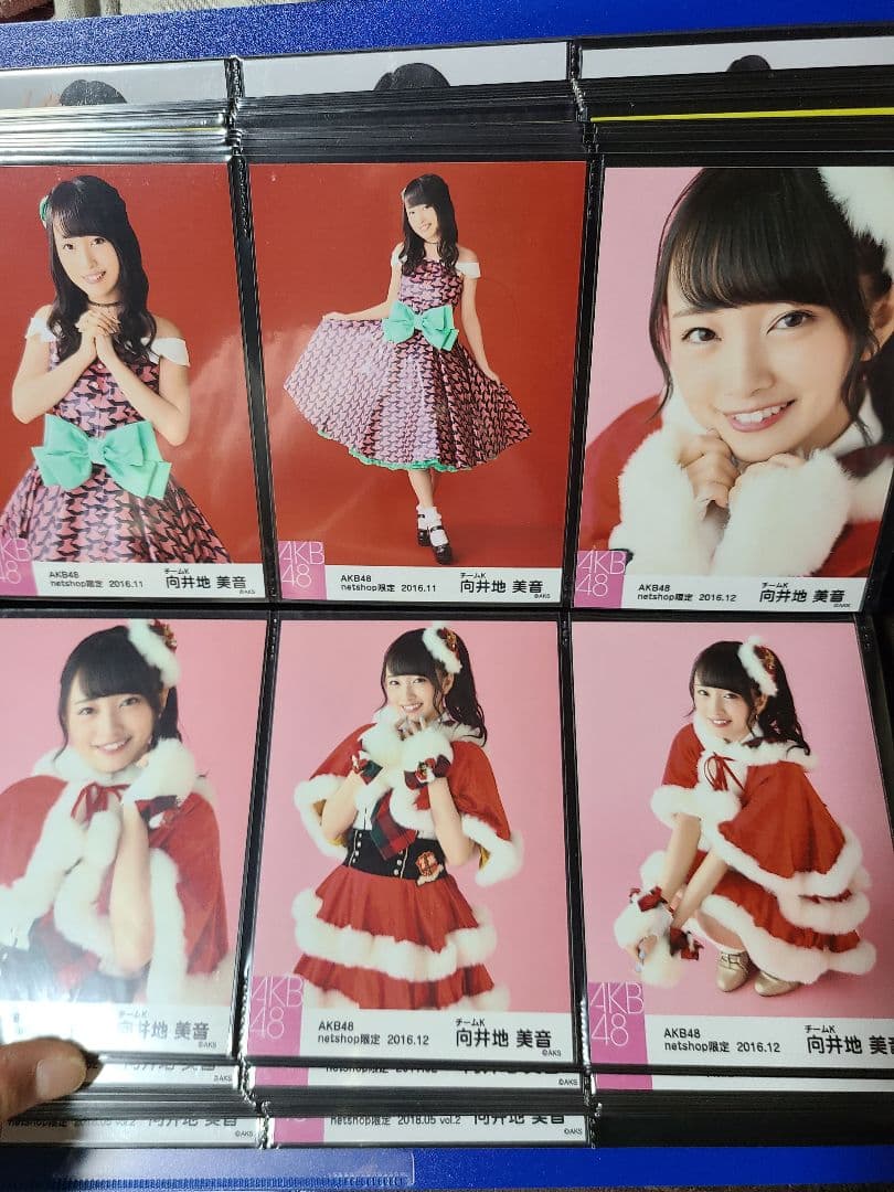 向井地美音 個別