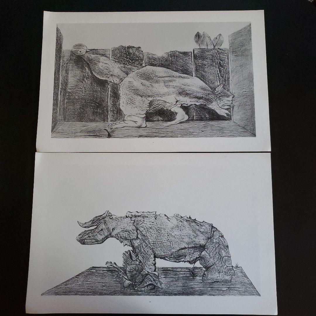 Max Ernst histoire naturelle　博物誌