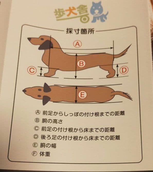 新品中型犬４輪車いすアゴ乗せ付き調整可能オーダーメイド