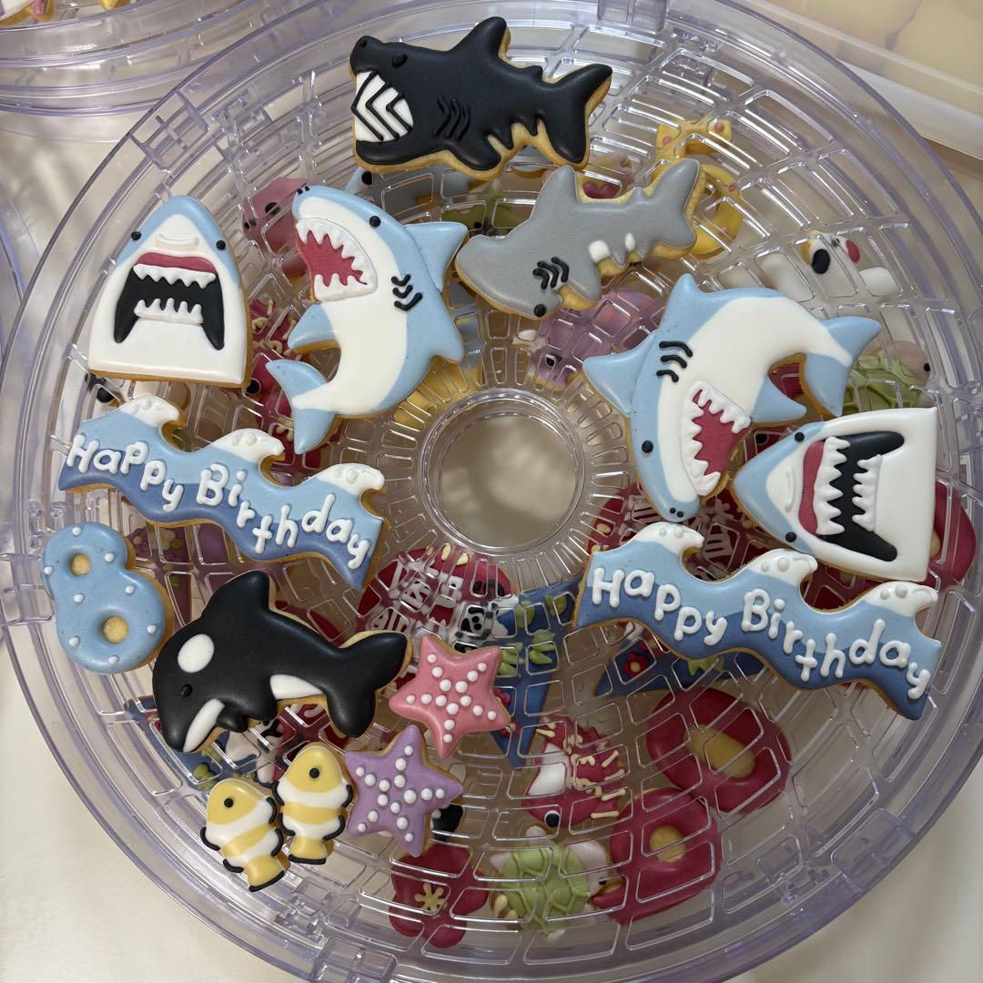 着色料不使用　海の生き物　予約販売