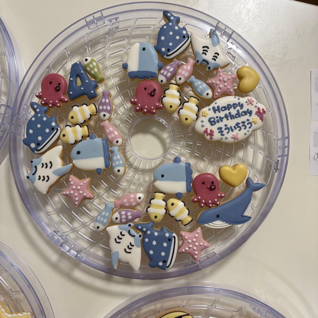 着色料不使用　海の生き物　予約販売