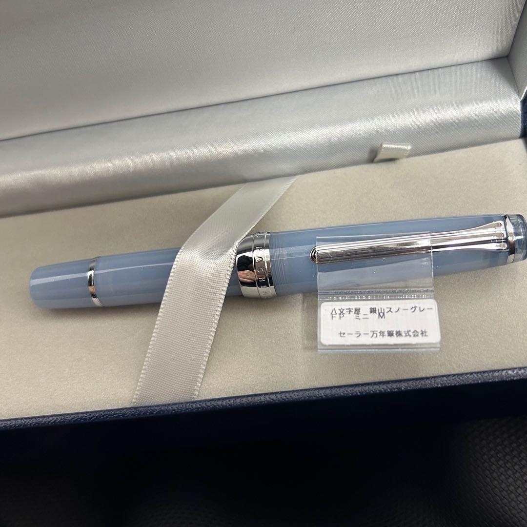 【24時間以内発送】銀山スノーグレー・万年筆 パルム　M