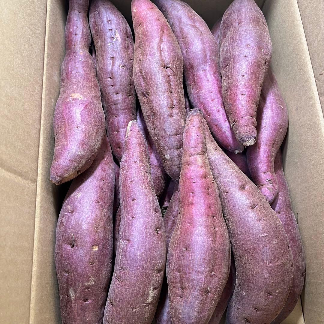 シルクスイート Mサイズ 20kg 茨城県産