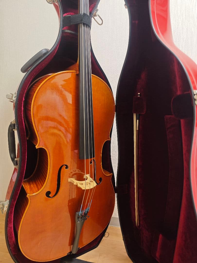 【Tm】Pygmalion Rubino 350S　チェロ