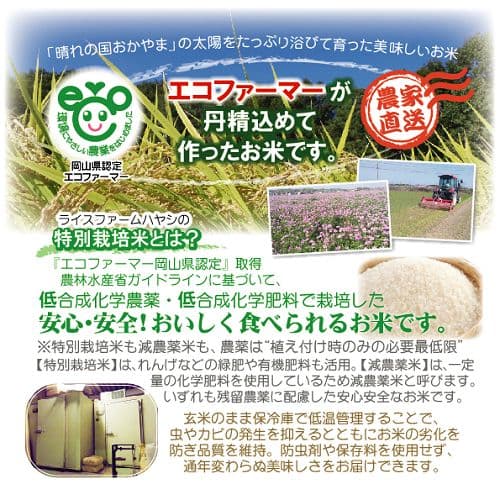 令和7年産 希少米 緑肥＆有機肥料 特別栽培米【朝日】20キロ