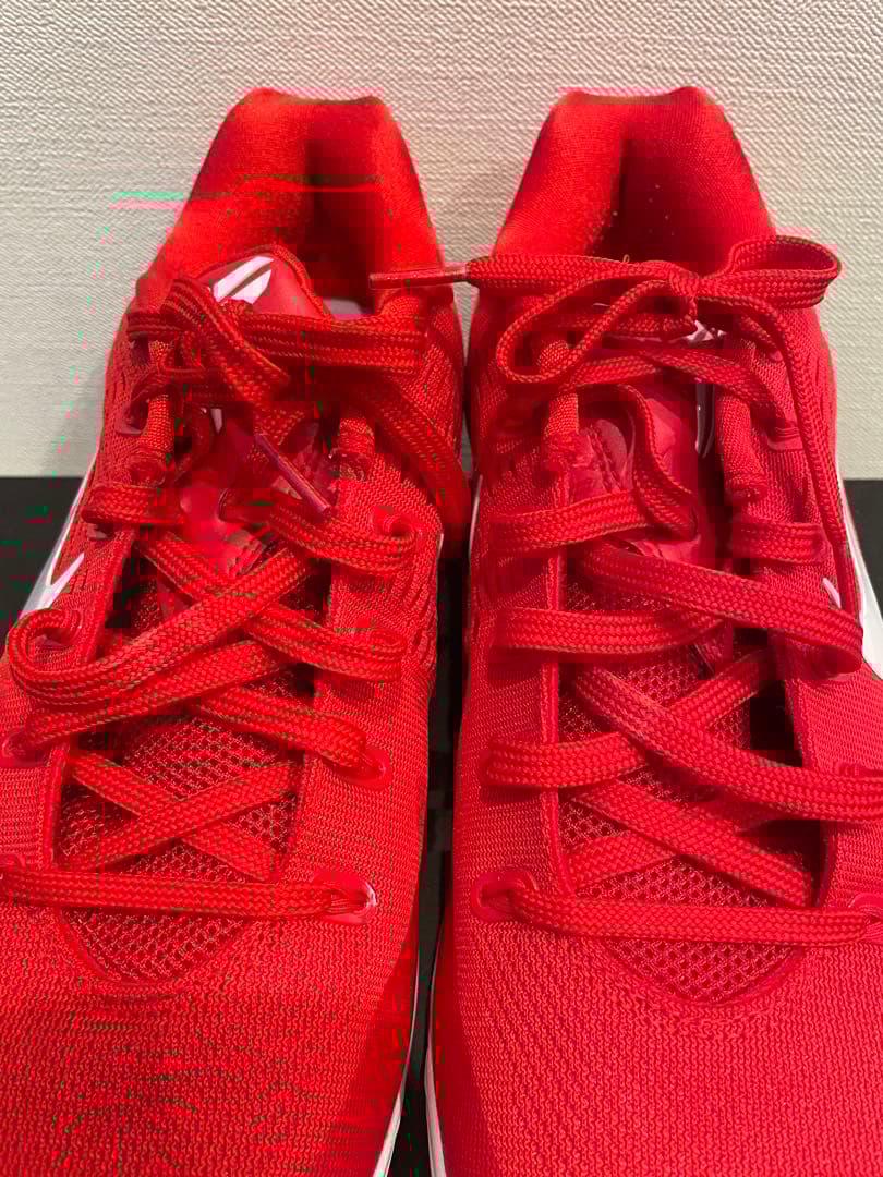 美品　Nike Kobe 9 エリートLOW EMプロトロ27.5cm