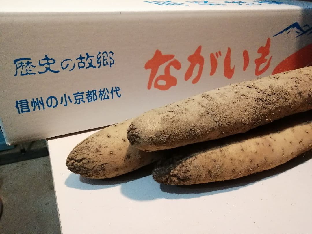長芋　20kg