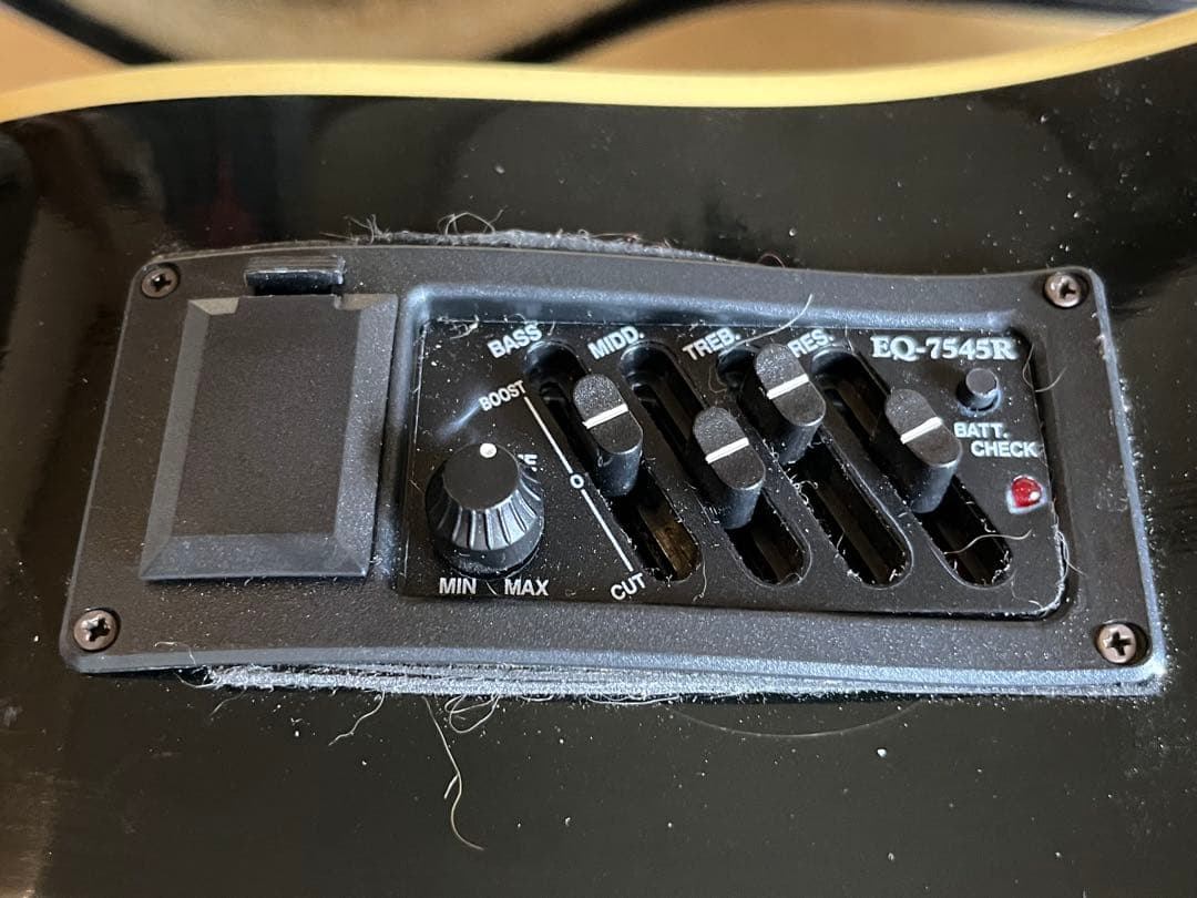 PRO MARTIN W-300Bアコースティックギターエレアコ仕様　ビンテージ