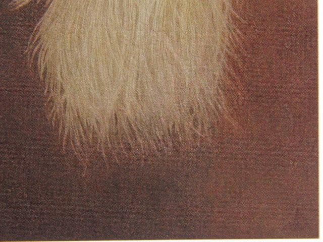 小川泰弘、【内なる光】、希少な限定額装用画集画、新品高級額 額装付