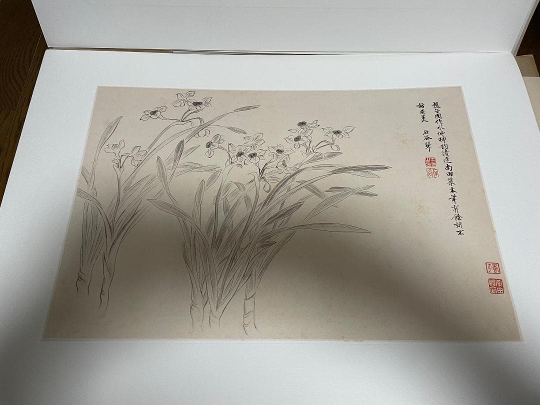 【超大型本】 複製画集 「清惲壽平王翬 花卉山水合册」 故宮博物院