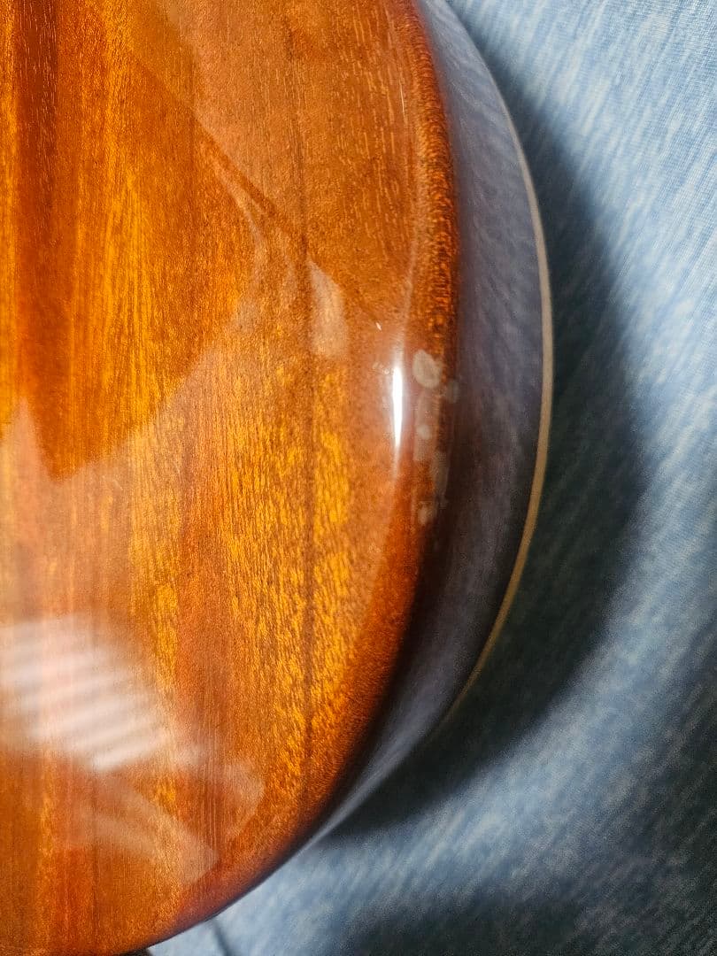 【激レア】PRS McCarty 594 Singlecut Gold Top