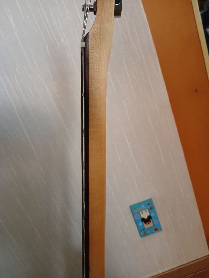 Squierエレキギターアビリルラヴィーンモデルテレキャスター （ケース付き）