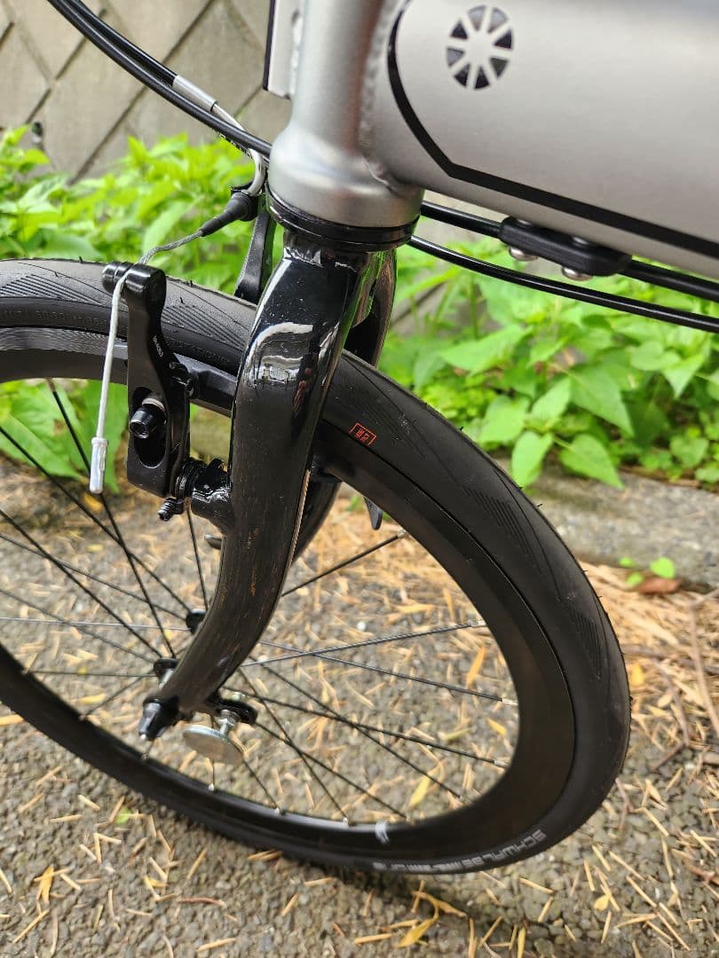 DAHON スピードファルコ　カスタム　マットシルバー