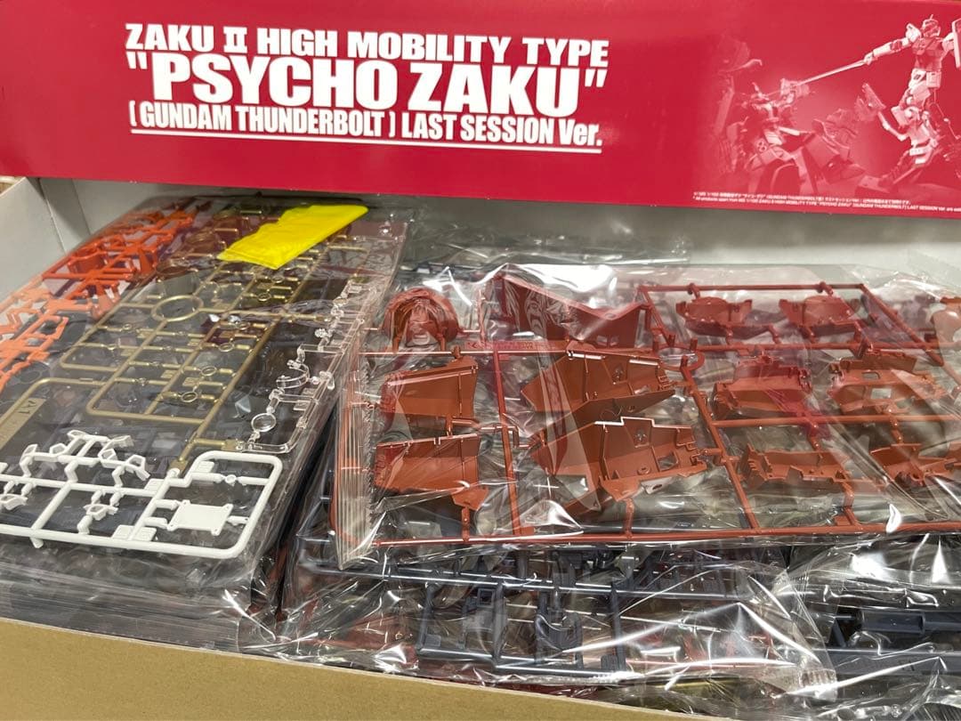 MGサイコ・ザク フルアーマー・ガンダム　サンダーボルトラストセッションver.