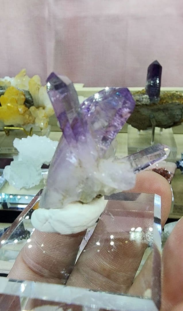 ベラ クルス アメジスト