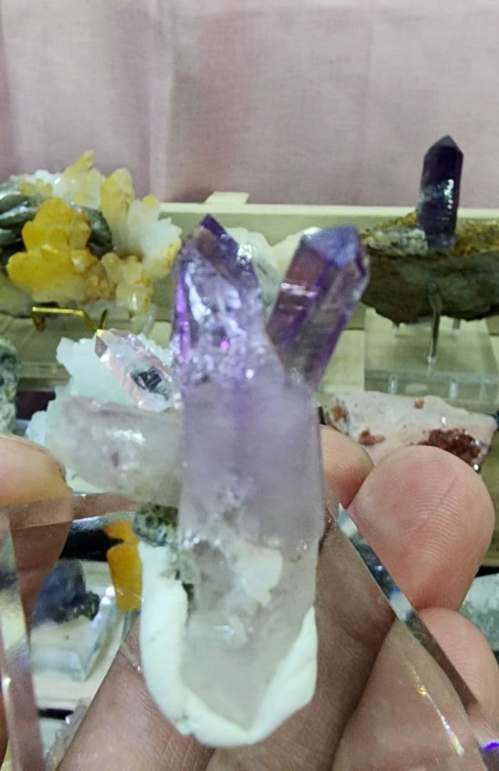 ベラ クルス アメジスト