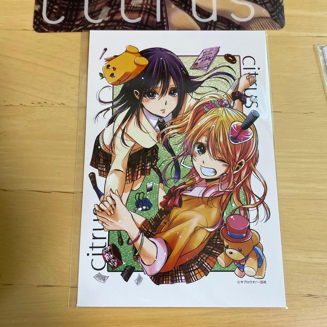 【新品】citrus 描き下ろし Tシャツ ポストカード サブロウタ 下敷き付き