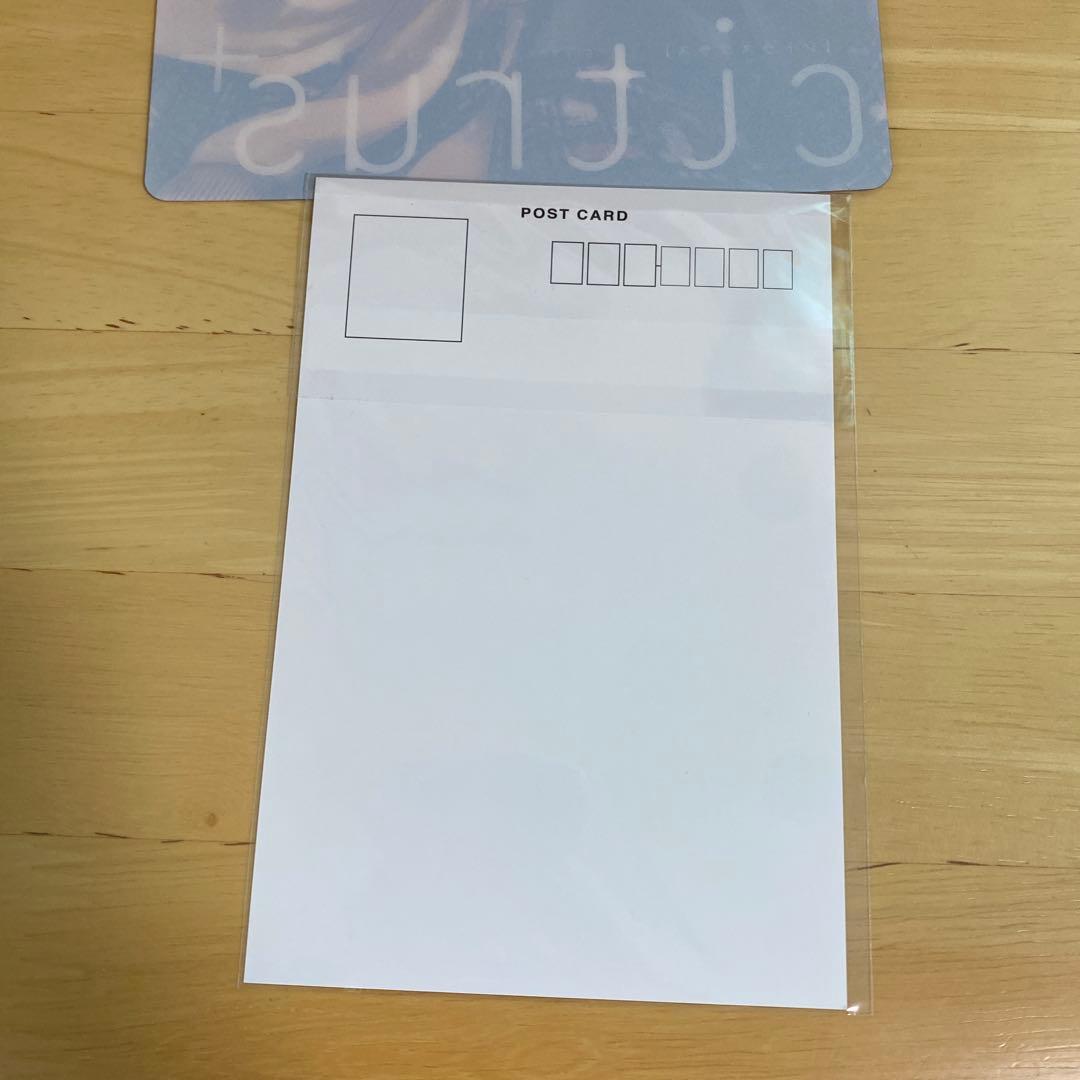 【新品】citrus 描き下ろし Tシャツ ポストカード サブロウタ 下敷き付き