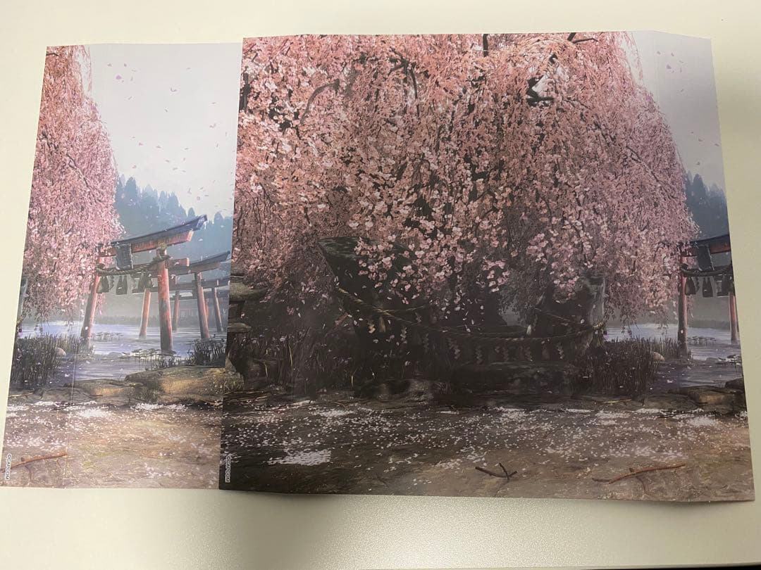 shフィギュアーツ リュウ、春麗　Outfit 2